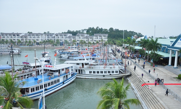 Quảng Ninh: Một tàu du lịch bị chìm ở cảng Tuần Châu